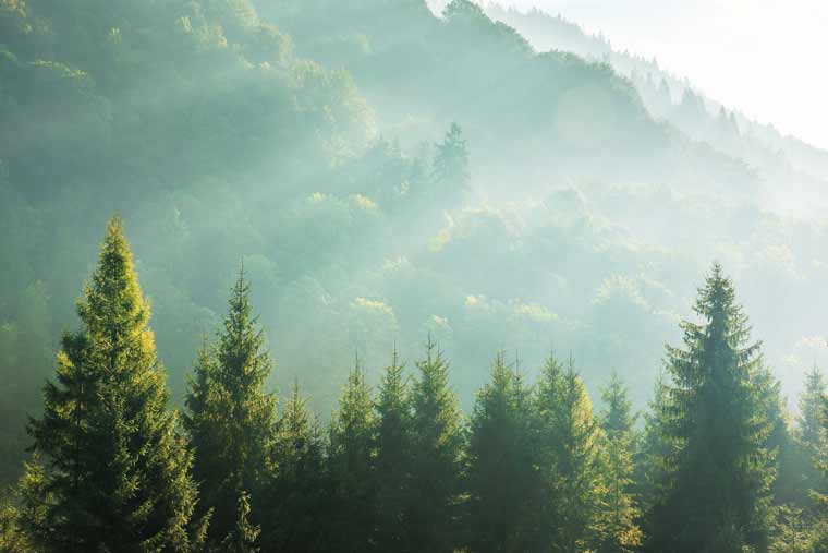 Bestattungsunternehmen-Gangkofen Bestattungsunternehmen in Unterdietfurt - Hahn Bestattungen